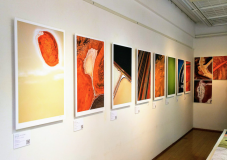 Capture-d’écran-2019-06-17-à-20.56.04