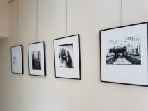 auteur Elisa Augereau