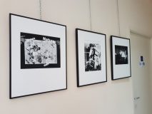 auteur Elisa Augereau