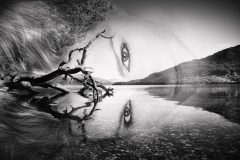 02 FEVRIER auteur Elisa Augereau