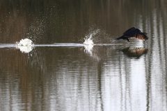 03 MARS auteur Jean-Noël Guilbaud