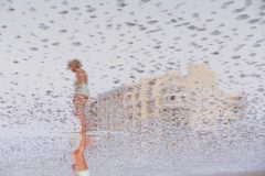 09 SEPTEMBRE auteur Valérie Chevillon